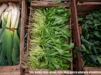 Alimentación y Soberanía: dos miradas, una urgencia global