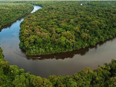 Amazomorfosis: la Amazonía en disputa y los límites del Acuerdo de Escazú