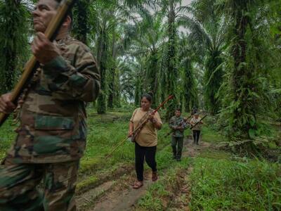 América Latina concentró el 85 % de los asesinatos de personas defensoras del territorio y el ambiente en 2025