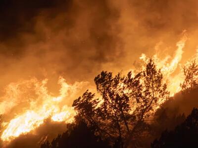 Ante los incendios forestales: proteger los territorios es una responsabilidad urgente