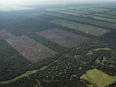Foto: Martín Katz / Greenpeace