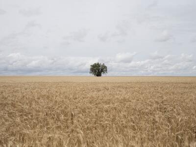 Foto: Matías Sarlo / Minga