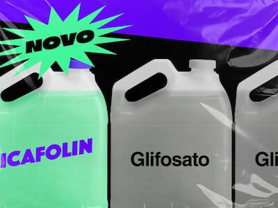 Bayer escolhe Brasil para estrear o icafolin-metil, herbicida projetado para complementar o glifosato, agrotóxico mais polêmico do mundo. Arte: Rodrigo Bento / Repórter Brasil