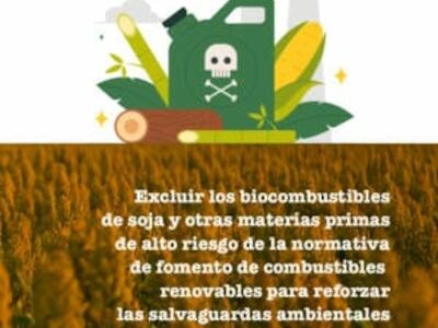 Biocombustibles: ¿solución climática o desastre ecológico?