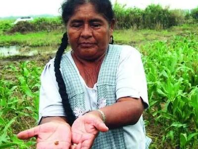 Bolivia ante un nuevo ciclo de concentración de tierras