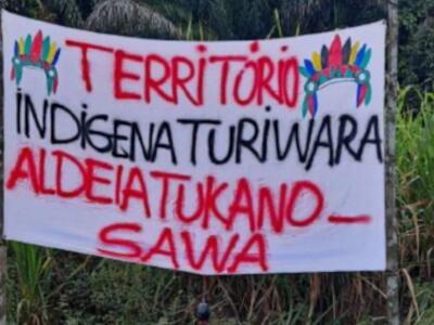 Brasil: Povo Turiwara retoma território ancestral invadido pelo agronegócio do dendê no Pará
