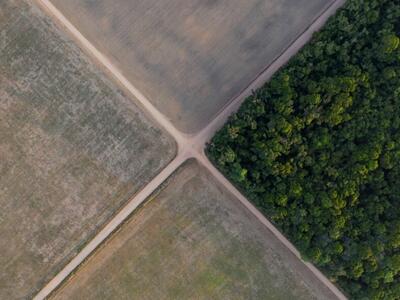Brasil. La justicia respalda normativas a favor del agronegocio