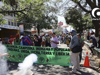 Campesinos y garífunas exigen frenar desalojos y destitución de director del INA