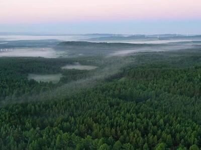 La idea de crear y reforestar bosques chinos desequilibró el ciclo del agua
