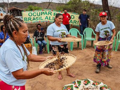 Coleta de sementes fortalecem agroecologia e conservação da biodiversidade na Bacia do Vale do Rio Doce
