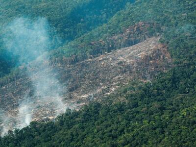 Colombia: la guerra entre “Calarcá” y “Mordisco” que desangra al Parque Nacional Chiribiquete