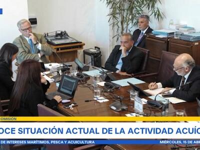Comisión del Senado excluye a comunidad Kawésqar y da tribuna a industria del salmón: develan plan para asaltar aguas prístinas del sur de Chile