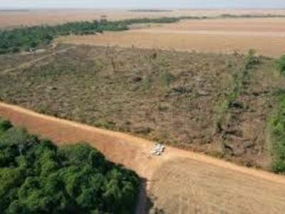 Conflitos por Terra e Água continuaram a devastar territórios e vidas no campo brasileiro em 2025