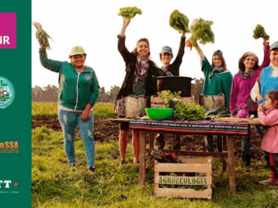 Construcción del Perfil Sociosanitario de lestrabajadores de la Unión de Trabajadores de laTierra (UTT) pertenecientes a las localidades deMonte Ve...