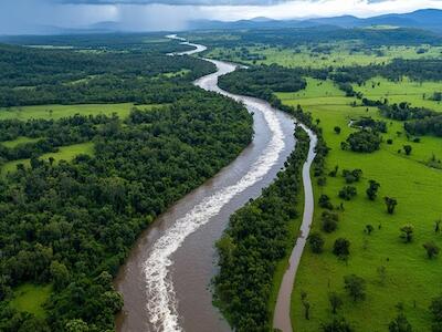 Cuáles son los roles que cumplen ríos y arroyos en la reducción de la contaminación en zonas agrícolas