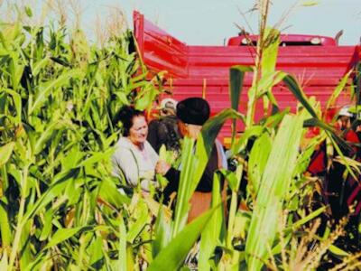 Cuba agiliza entrega de tierras para elevar la producción