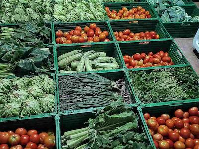 Foto: Cooperativa Madre Tierra