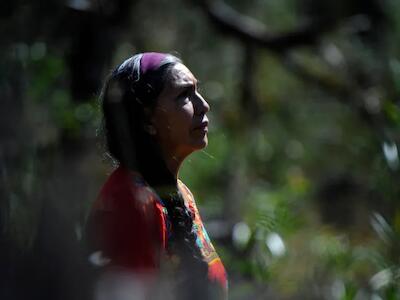 La activista ambiental Filiberta Nevado muestra árboles talados ilegalmente en los bosques de la localidad de Zacacuautla, municipio de Acaxochitlán, Hidalgo, México. Noviembre de 2021.CLAUDIO CRUZ/Getty Images