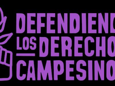 Defendiendo los Derechos Campesinos – Boletín n°10