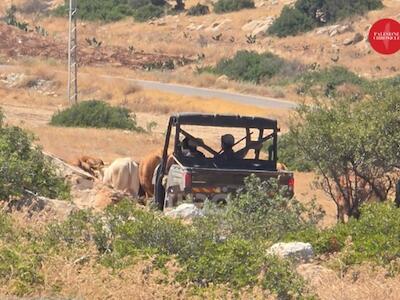 Demolición de viviendas: de cómo Israel redibuja el mapa de Cisjordania