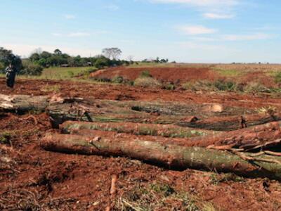 Día del Ambiente, crisis climática y nuevas amenazas extractivistas