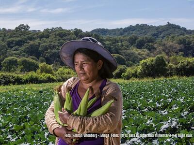 Día Internacional de los Pueblos Indígenas: proveedores de alimentos y guardianes de la biodiversidad