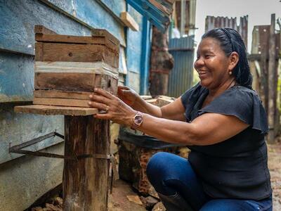 Día Mundial de las Abejas: tres iniciativas de mujeres indígenas para proteger a estos polinizadores en Latinoamérica