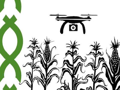 Digitalización en el agronegocio ecuatoriano 