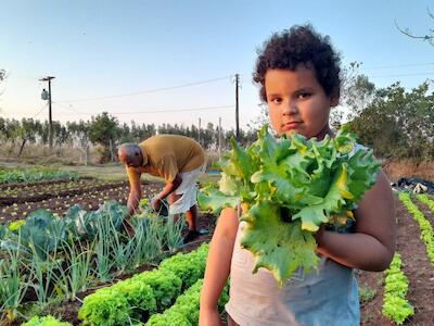 Contra o modelo agroexportador que nos leva à crise alimentar, MST luta pela Reforma Agrária Popular. Foto: Diógenes Rabello