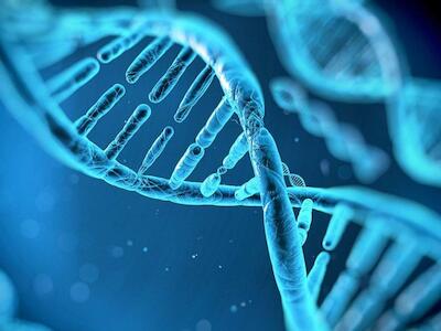Edición génica: ¿innovación científica o desregulación biotecnológica?