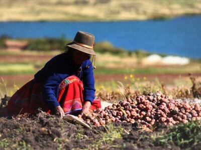 El agro y la seguridad alimentaria en riesgo por eventos climáticos