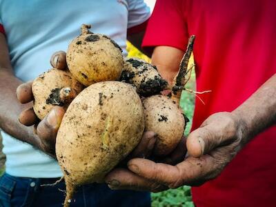 El Bloqueo viola Derechos del Campesinado Cubano
