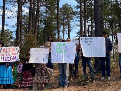Protesta contra la tala ilegal en bosques de San Elías Repechique, municipio de Bocoyna, en la Sierra Tarahumara de Chihuahua, México. Foto: cortesía Consultoría Técnica Comunitaria (CONTEC)