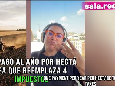 Violeta Ayala - Tecnología Creativa