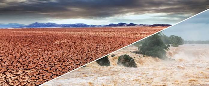 El fenómeno de El Niño es parte de la historia de la humanidad. El cambio climático lo convirtió en tragedia