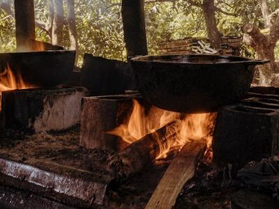 El fogón como resistencia: memoria y ciencia ante el hambre de identidad