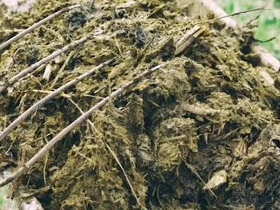 El ganadero español como proveedor estratégico de fertilizantes: una oportunidad histórica para el campo en tiempos de crisis geopolíticas