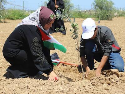 El genocidio alcanza el banco de semillas que miman los gazatíes
