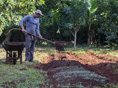 El hambre no es un arma: un llamamiento por el fin al bloqueo contra Cuba