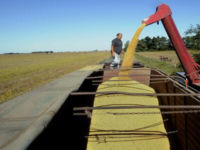 El intento de reforma de la Ley de Semillas pone en riesgo la soberanía alimentaria