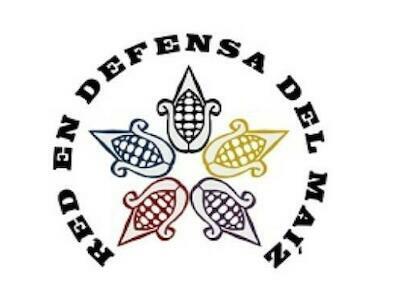 El maíz ya tiene casa