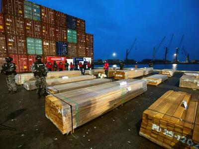 El mecanismo narco que arrasa bosques: cómo llegaron 108 toneladas de cocaína y ketamina impregnadas en madera de Bolivia a Chile
