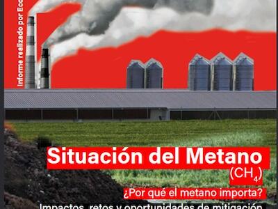 El metano, el gran olvidado del cambio climático: un nuevo informe urge a recortar las emisiones y transformar el modelo de producción y consumo