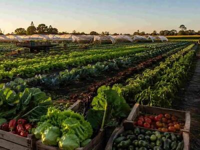 El país que exporta alimentos al mundo no puede alimentar bien a sus propias ciudades, según un estudio de la UNC