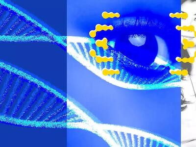 El ‘proyecto Manhattan’ genético: varias empresas quieren modificar embriones y abrir el camino a los ‘bebés a la carta’