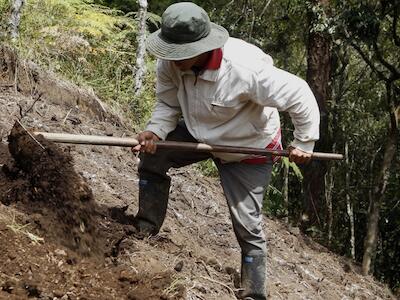 El suelo: el hogar invisible de los organismos que sostienen la vida