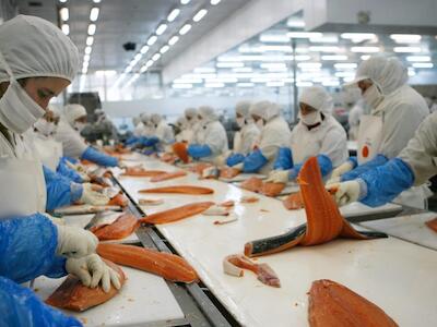 Empresarios celebran el “Día del Trabajador Salmonero” en medio de la precarización laboral y crecientes despidos masivos en el archipiélago de Chiloé