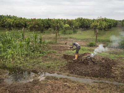 Empresas brasileiras se aproximam de acordo para cultivar 800 mil hectares em Angola |Angola identificou as terras no ano passado para que empresas brasileiras as explorassem e desenvolvessem (Foto: Rodger Bosch/AFP/Getty Images