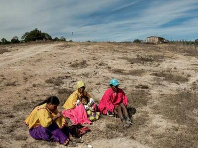 En 2025, 4 mil 492 desplazados de la Tarahumara por la violencia: ONG