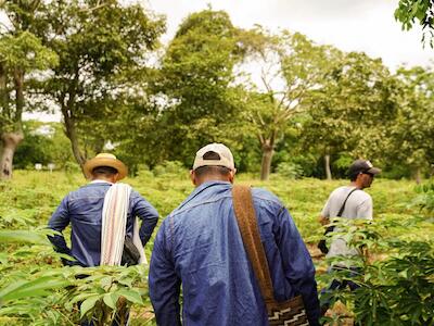 En Colombia, los agricultores están ocupando tierras improductivas, aprendiendo agroecología y presionando a favor de una reforma agraria popular